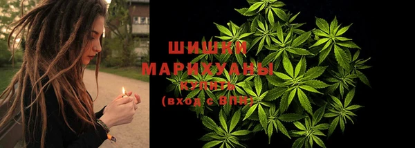 дурь Алексеевка