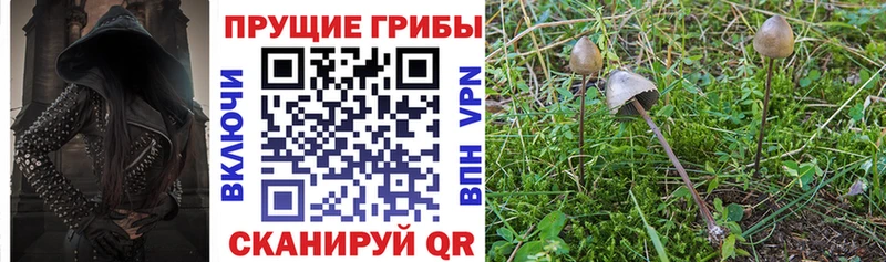Галлюциногенные грибы MAGIC MUSHROOMS  как найти   MEGA вход  Лесосибирск 