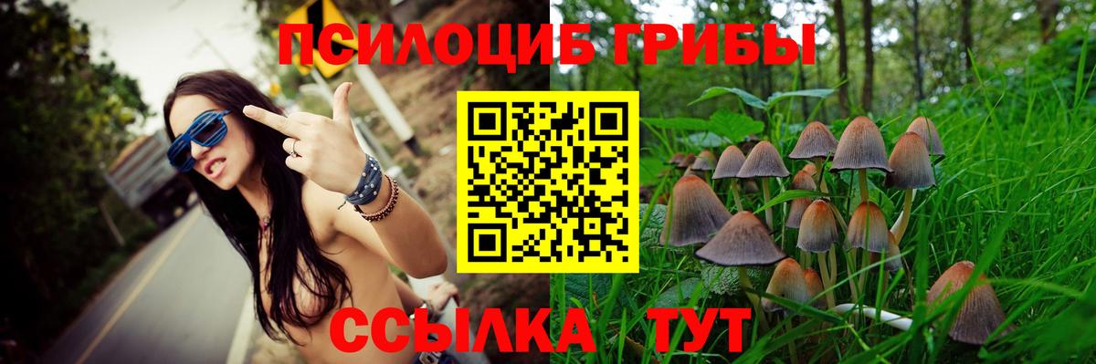 Лесосибирск  Псилоцибиновые грибы Psilocybe  Вход с VPN  Галлюциногенные грибы GOLDEN TEACHER 