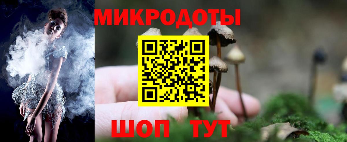Галлюциногенные грибы Cubensis Лесосибирск